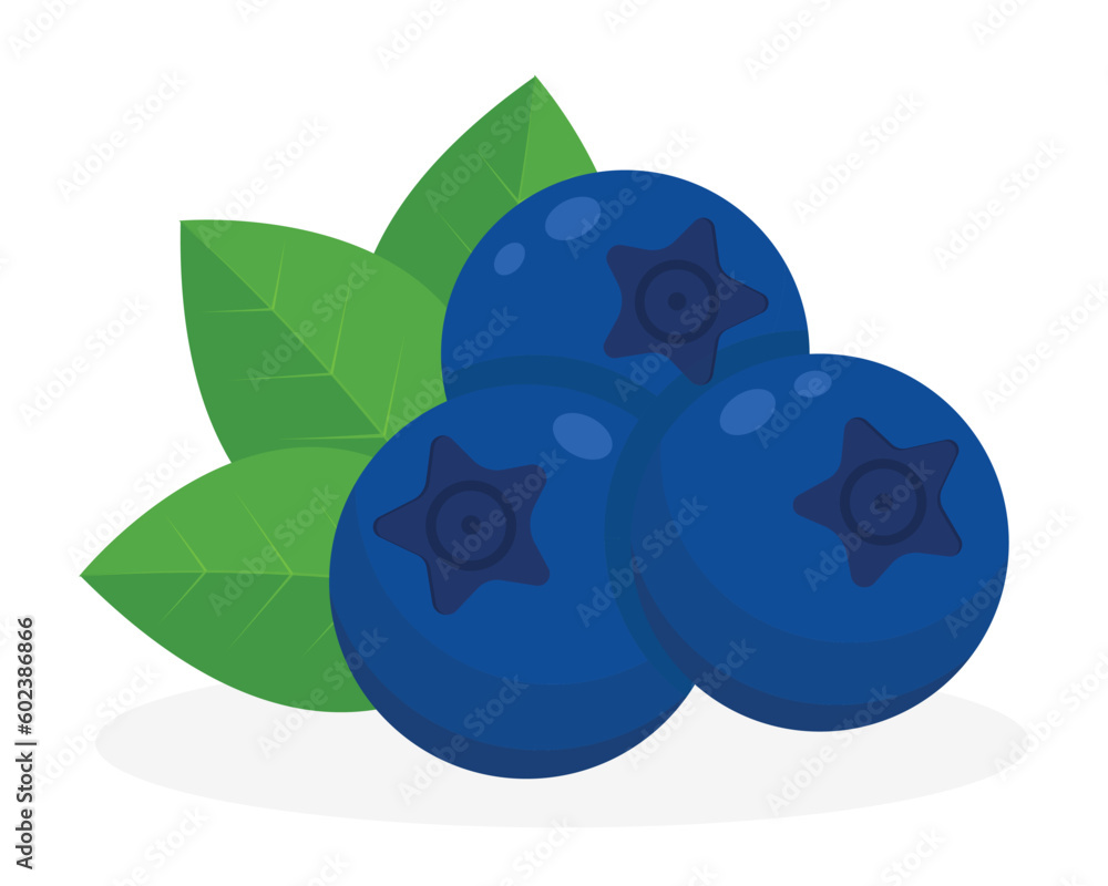 Blueberries with leaves flat vector illustration on white transparent background for label and design Blueberries with leaves flat vector illustration on white transparent background for label and design