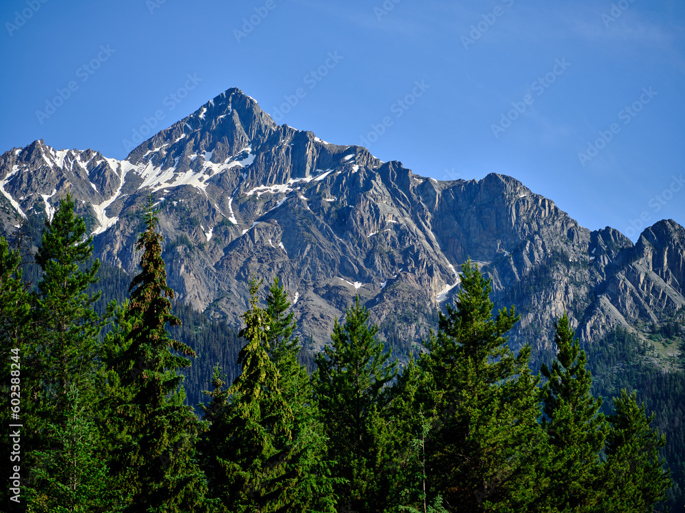 Rugged bare mountain peaks and deep pine and fir forests in the Canadian Rockies Alberta Province of Canada