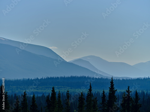 Fototapeta Naklejka Na Ścianę i Meble -  Deep and pristine old growth forests aroun the base of mountains in the Yukon Territory of Canada