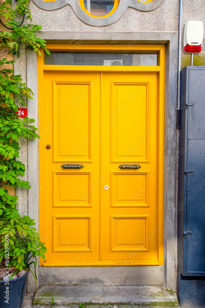 Yellow wood and an old door with a gray front. Yellow wood and an old door with a gray front.