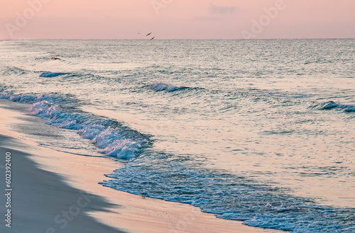 Morning tide under a pink sky