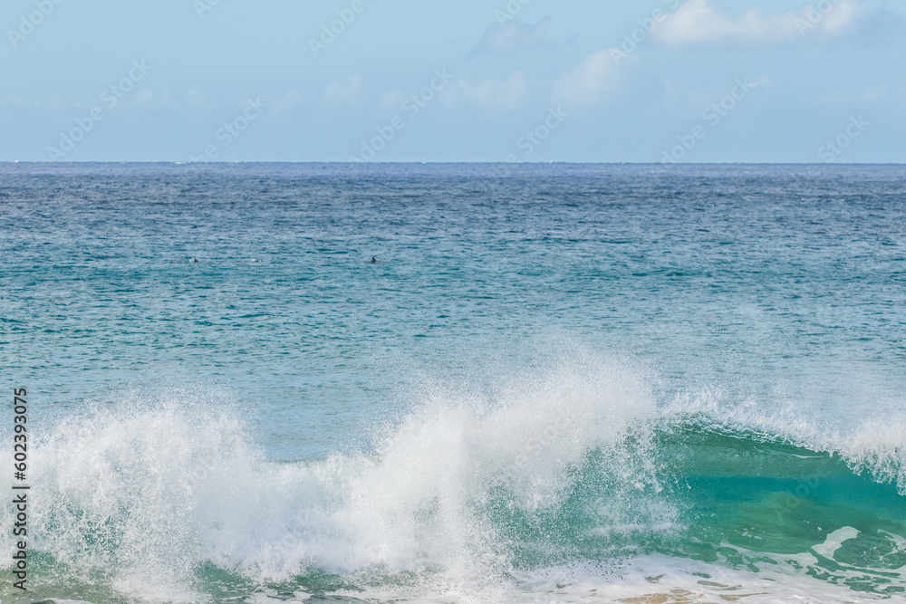 waves on the beach waves on the beach