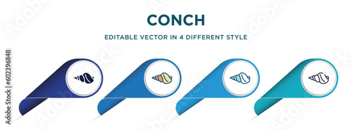 conch icon in 4 different styles such as filled, color, glyph, colorful, lineal color. set of vector for web, mobile, ui