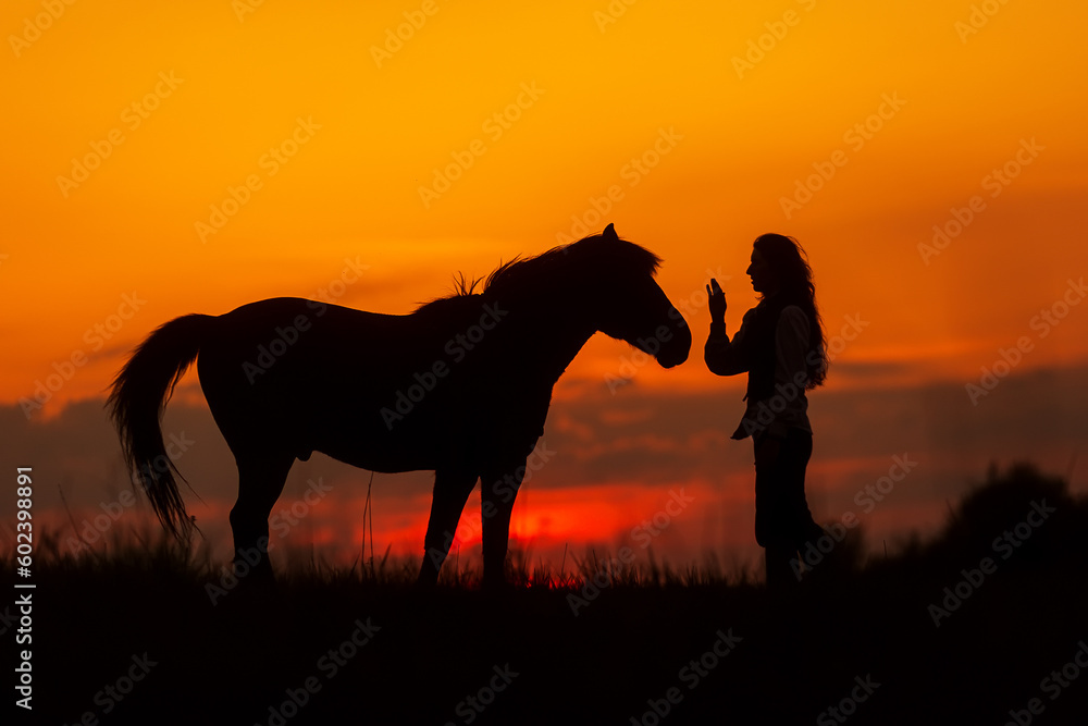 silhouette of a woman with horse against the sunset