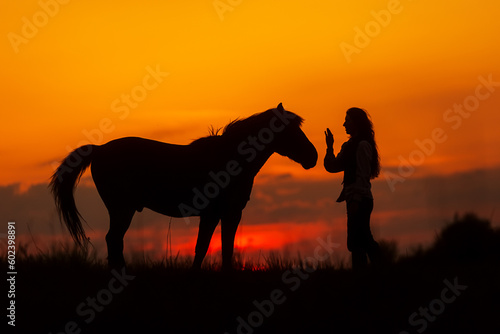 silhouette of a woman with horse against the sunset