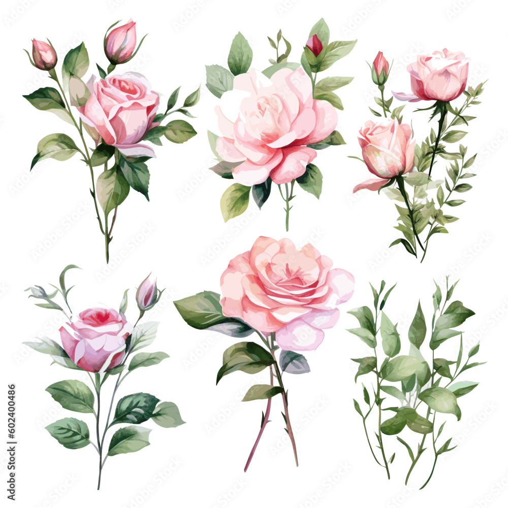 Set of floral watecolor. Flower pink rose, green leaves. Floral poster, invitation floral. Vector arrangements for greeting card or invitation design