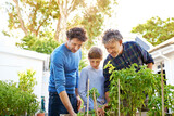 Family, generations and helping in garden in backyard with grandfather, father and child with nature and plants. Bonding, love and care for men or boy outdoor with green fingers and gardening at home