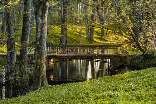 Old bridge in the park near to abandonned Baldone Sanitarium, Latvia photo