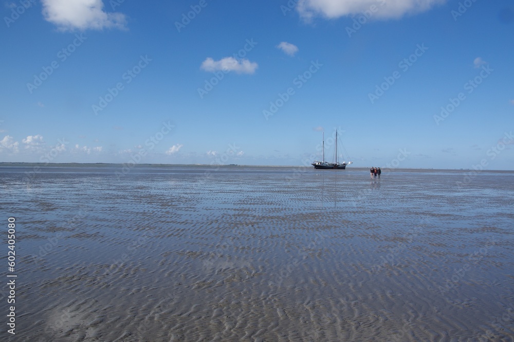 Fototapeta premium Wattenmeer Segeln