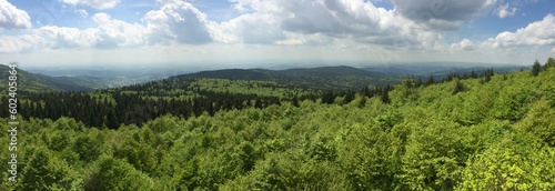 Bayerischer Wald