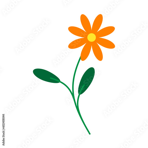 Fototapeta Naklejka Na Ścianę i Meble -  Hand-drawn orange flower vector illustration