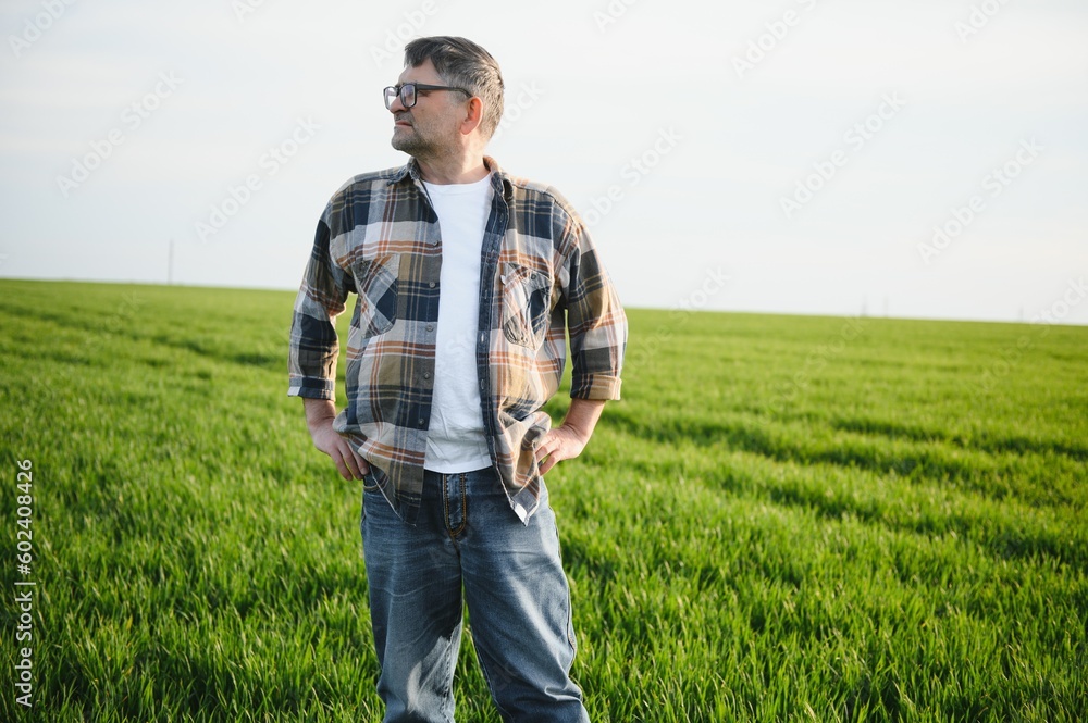 Portrait of senior farmer standing in green wheat field. Portrait of senior farmer standing in green wheat field.