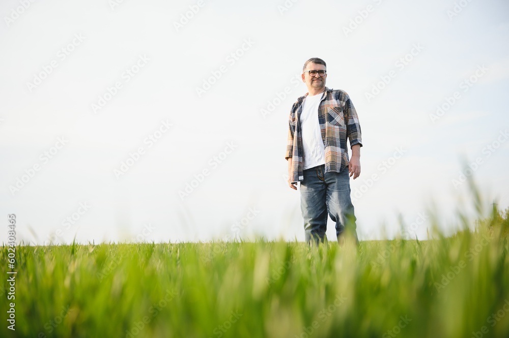 Experienced and confident farmer on his field. Portrait of senior farmer agronomist in wheat field. Experienced and confident farmer on his field. Portrait of senior farmer agronomist in wheat field.