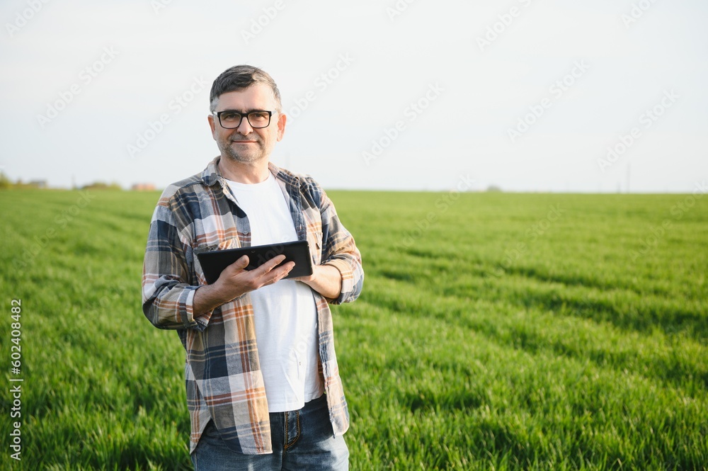 Portrait of senior farmer standing in wheat field examining crop during the day.