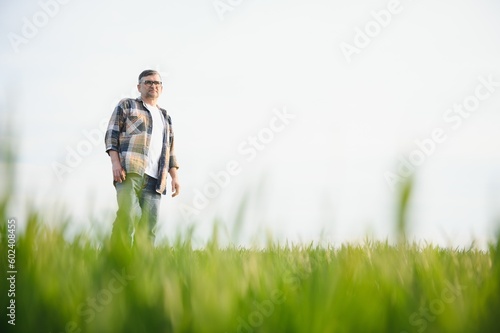 Portrait of senior farmer agronomist in wheat field. Successful organic food production and cultivation. © Serhii