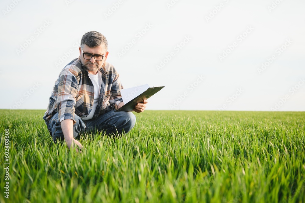 Experienced and confident farmer on his field. Portrait of senior farmer agronomist in wheat field. Experienced and confident farmer on his field. Portrait of senior farmer agronomist in wheat field.