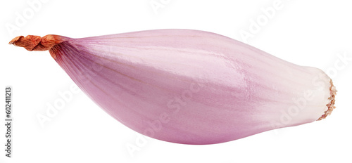 onion, shallot, isolated on white background, full depth of field