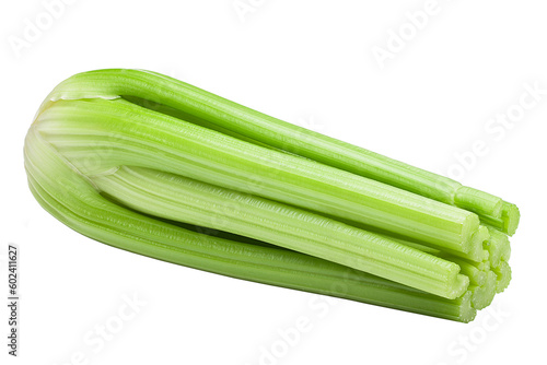 celery isolated on white background, full depth of field