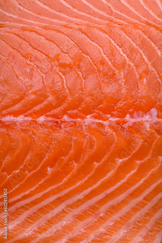 Fresh raw salmon red fish fillet with salt and spices