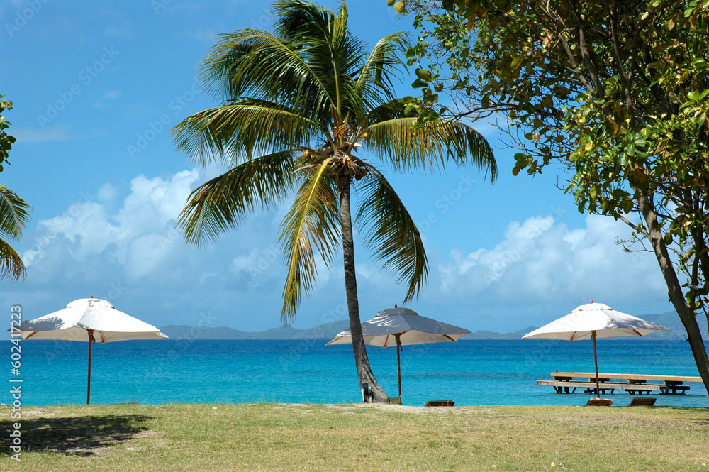 Fototapeta premium Umbrellas and palm tree on a beach in St Vincent and the Grenadines