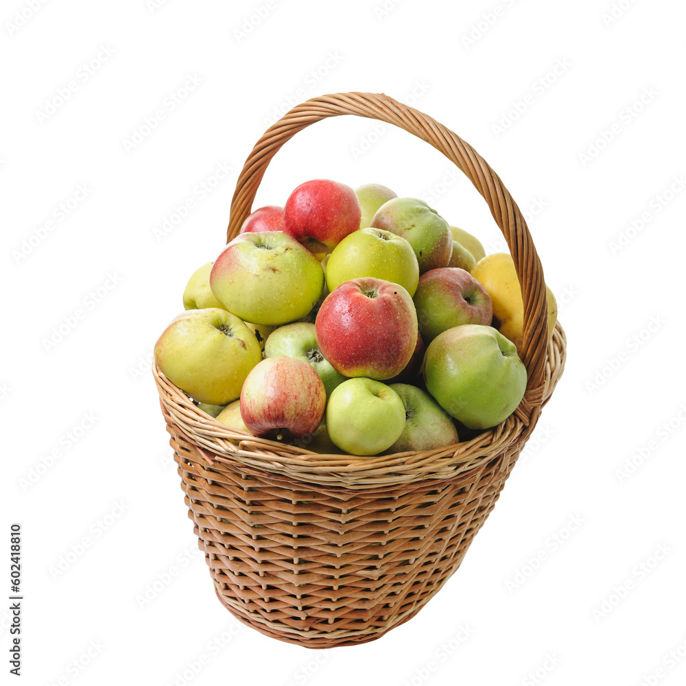apples in a basket isolated on white background apples in a basket isolated on white background