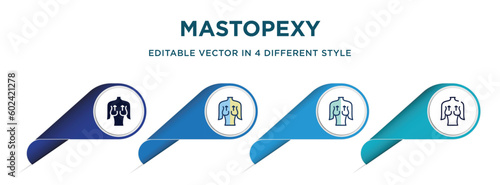 mastopexy icon in 4 different styles such as filled, color, glyph, colorful, lineal color. set of   vector for web, mobile, ui