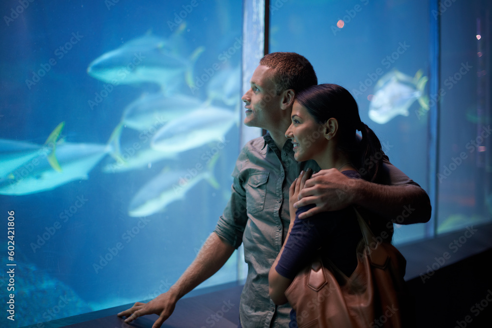 Obraz premium Aquarium, happy and couple looking at fish on vacation, holiday or date together. Smile, oceanarium and man and woman watching marine life, animals swimming underwater in fishtank and hugging.