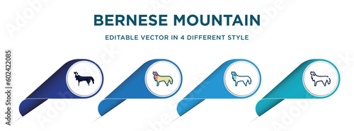 bernese mountain dog icon in 4 different styles such as filled, color, glyph, colorful, lineal color. set of   vector for web, mobile, ui