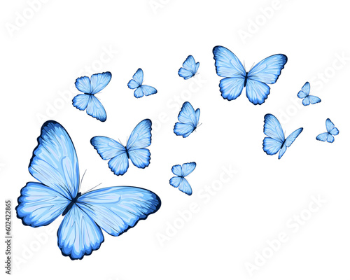 set of butterflies blue butterfly photo