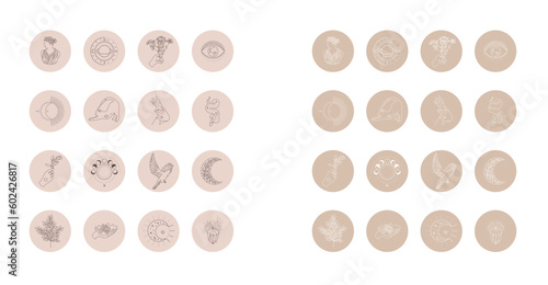 Pre logo instagram highlights frame hand floral flower bird celestial magic spiritual circle element vector