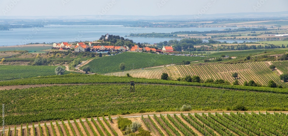 Vineyards and Zajeci village, view from Pritlucka hora