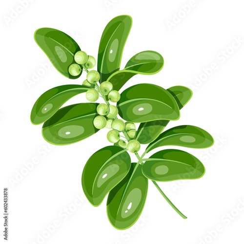 Guggul branch with green leaf and fruit vector illustration. Cartoon isolated twig and leaves on stem of Indian bdellium tree, natural plant for Ayurveda medicine, herbal guggul remedy for detox