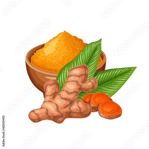 Tumeric root, green leaf and bowl with curcumin powder vector illustration. Cartoon isolated natural leaves, raw orange tuber of Curcuma longa cut into slices, cup with dry turmeric supplement