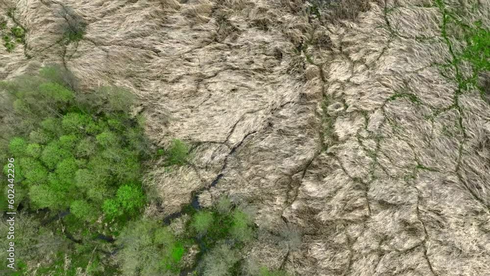 Top view of small river Lyna flowing in Warmia, northern Poland, Europe