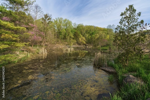 A springtime walk through beautiful Don Valley Brick Works park located within the large city of Toronto, Ontario, Canada
