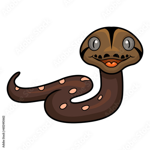 Cute golden child phantom reticulatus python cartoon