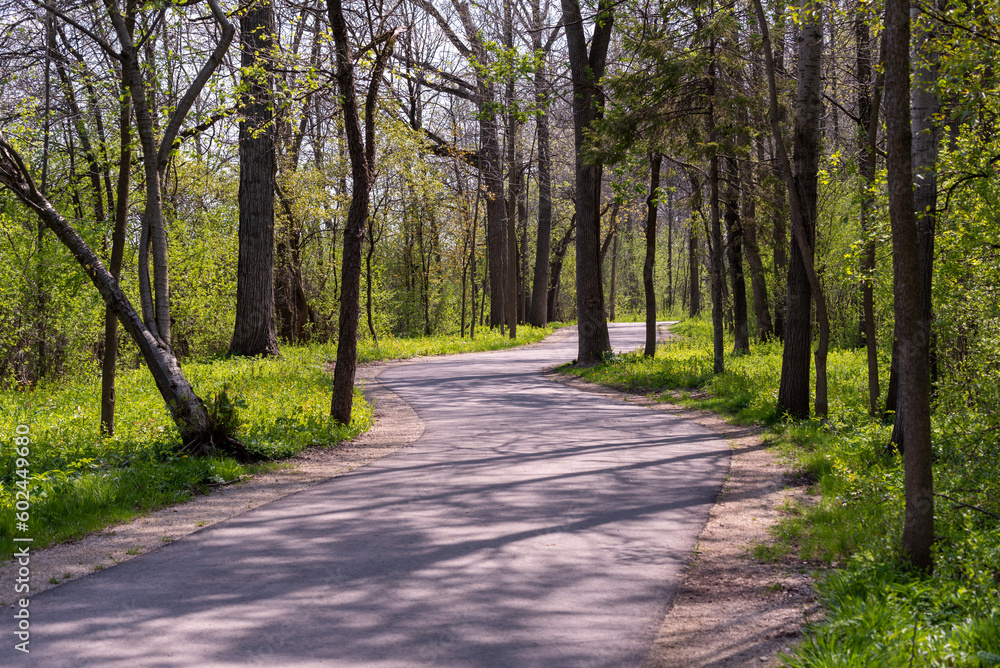A Path Through The Woods In The Local Park In Spring In Wisconsin A Path Through The Woods In The Local Park In Spring In Wisconsin
