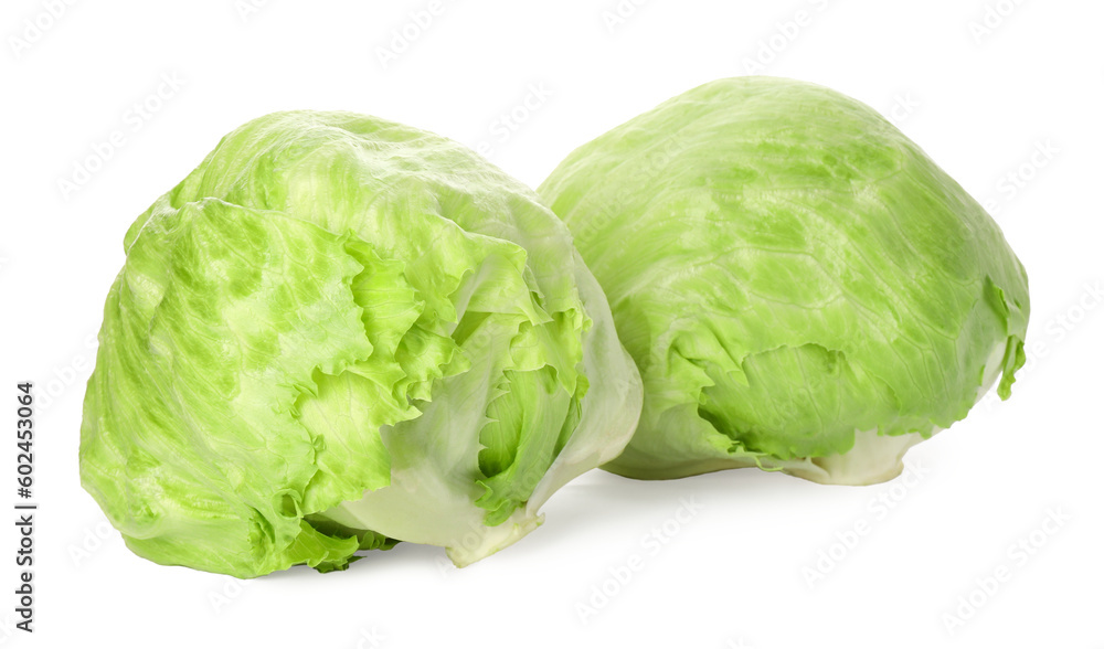 Fresh green iceberg lettuces isolated on white Fresh green iceberg lettuces isolated on white
