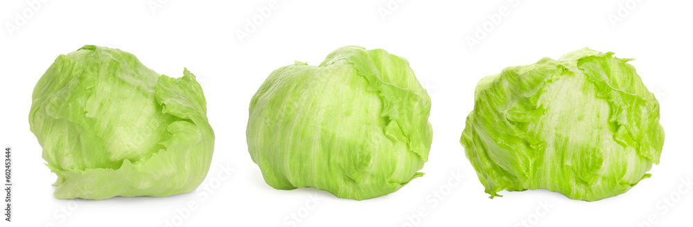 Collage with fresh iceberg lettuce heads on white background Collage with fresh iceberg lettuce heads on white background