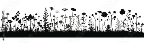 Floral black and white silhouette background © Zaharia Levy