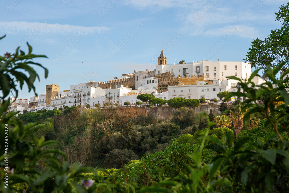 Partial view of Vejer between vegetation, province of Cadiz, Andalucia, Spain