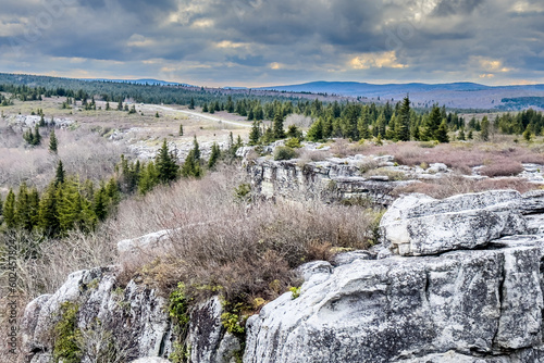 Cloudy windy weather at Dolly Sods in West Virginia