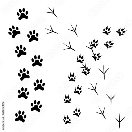 The silhouette of the traces of the, wolf, cat and the vbird. Vector illustration.