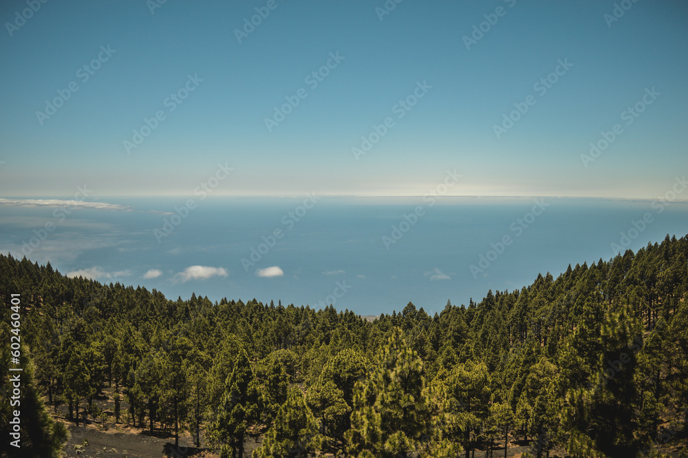 landscape of the island la palma in the canaries