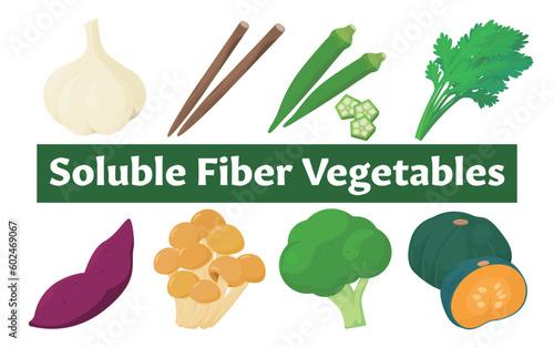 Vector illustration of soluble fiber vegetables.