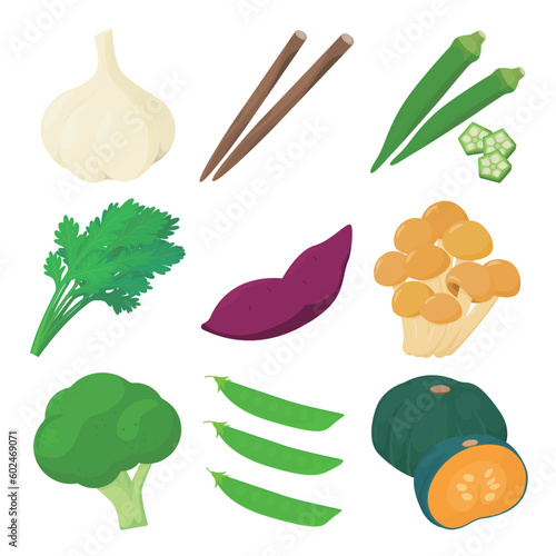 Vector illustration of soluble fiber vegetables.