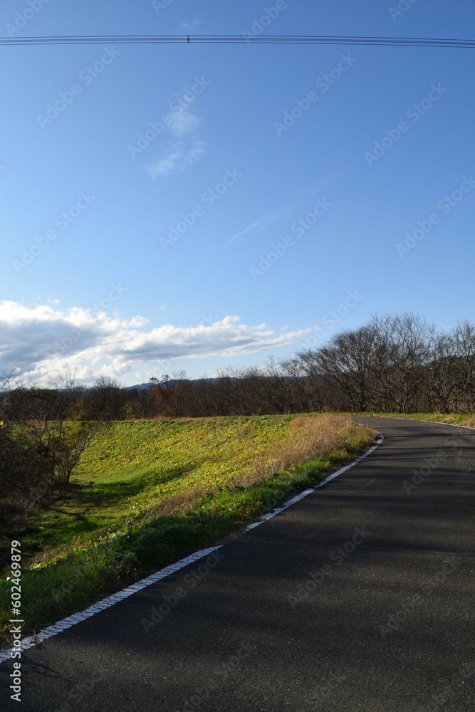 Fototapeta premium 【埼玉県坂戸市】冬の高麗川河川敷 遊歩道