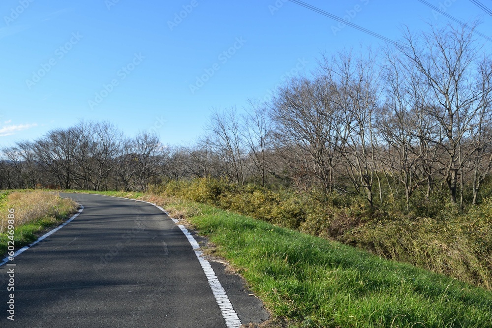 Fototapeta premium 【埼玉県坂戸市】冬の高麗川河川敷 遊歩道