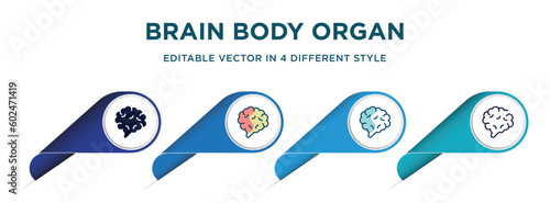 brain body organ icon in 4 different styles such as filled, color, glyph, colorful, lineal color. set of vector for web, mobile, ui