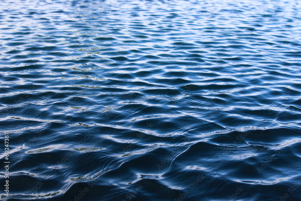 Water Ripples Water Ripples